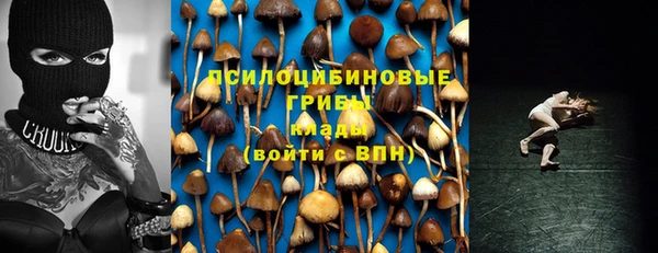 PSILOCYBIN Беломорск